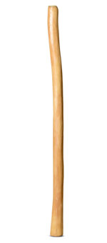 Medium Size Natural Finish Didgeridoo (TW1216)